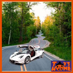 ماشین پلیس کنترلی