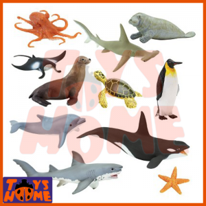 فیگور حیوانات دریایی